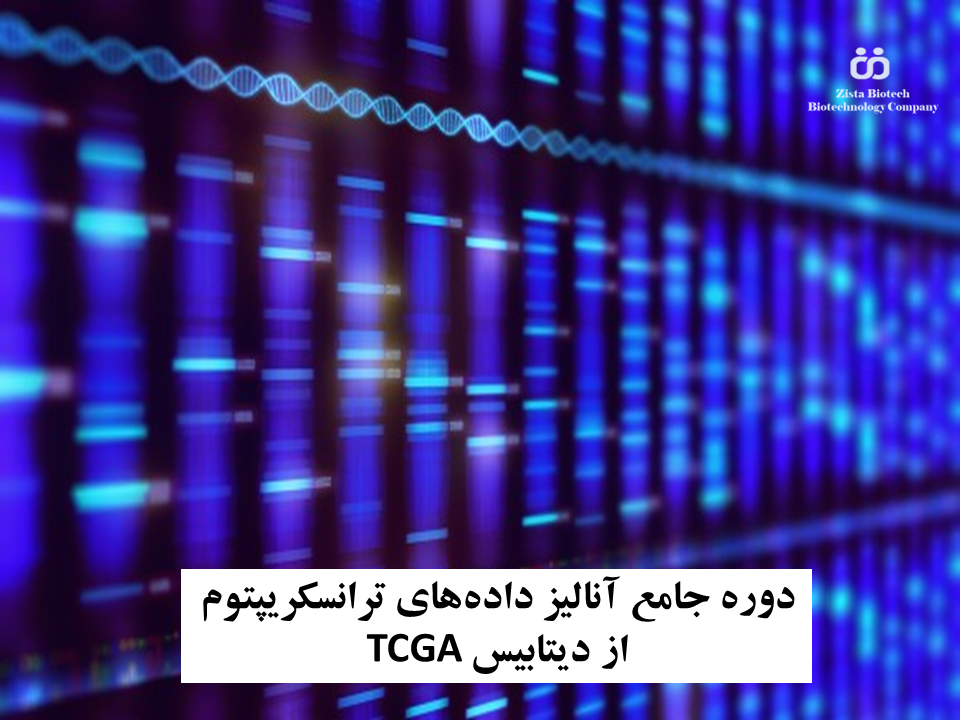 دوره جامع آنالیز دادههای ترانسکریپتوم از دیتابیس TCGA